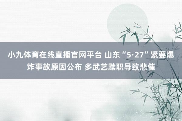 小九体育在线直播官网平台 山东“5·27”紧要爆炸事故原因公布 多武艺黩职导致悲催