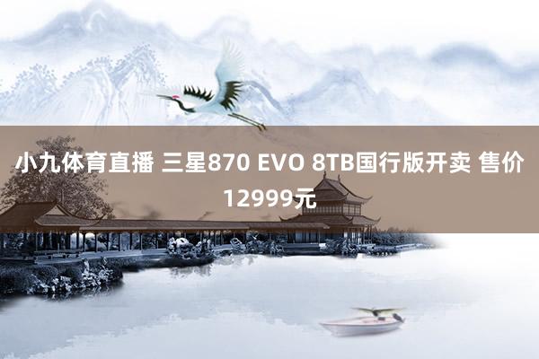 小九体育直播 三星870 EVO 8TB国行版开卖 售价12999元