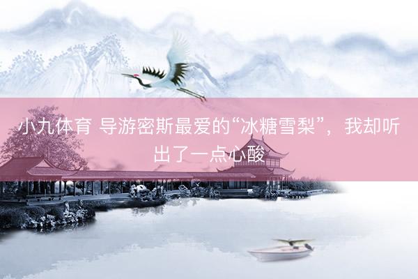 小九体育 导游密斯最爱的“冰糖雪梨”，我却听出了一点心酸