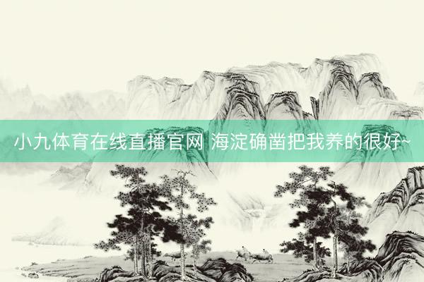 小九体育在线直播官网 海淀确凿把我养的很好~