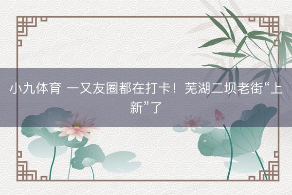 小九体育 一又友圈都在打卡!芜湖二坝老街“上新”了