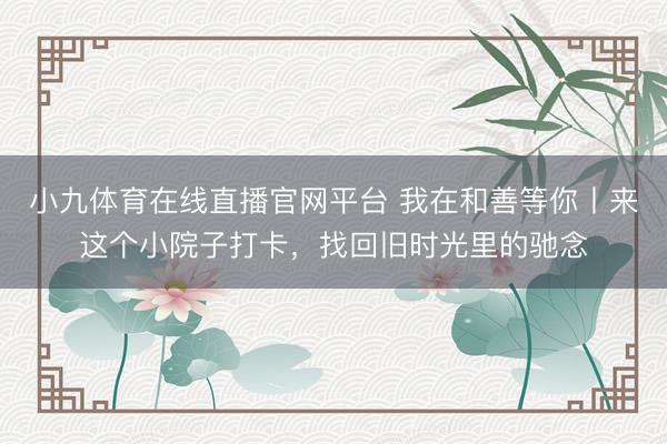 小九体育在线直播官网平台 我在和善等你丨来这个小院子打卡，找回旧时光里的驰念