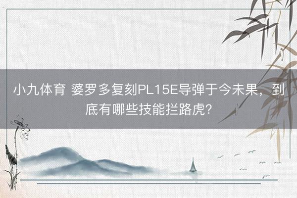小九体育 婆罗多复刻PL15E导弹于今未果，到底有哪些技能拦路虎？