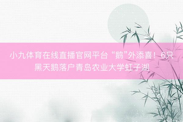 小九体育在线直播官网平台 “鹅”外添喜！6只黑天鹅落户青岛农业大学虹子湖