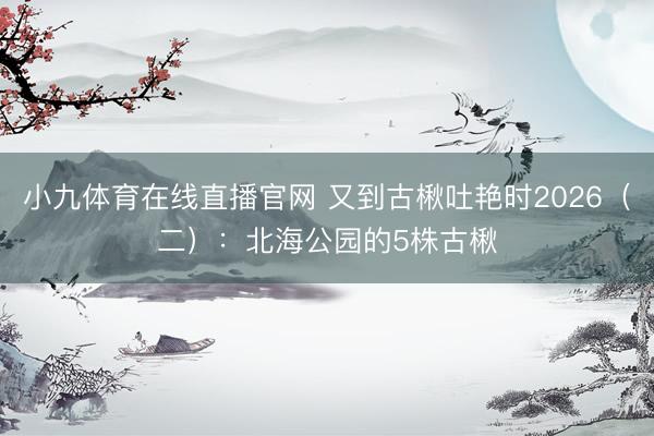 小九体育在线直播官网 又到古楸吐艳时2026（二）：北海公园的5株古楸