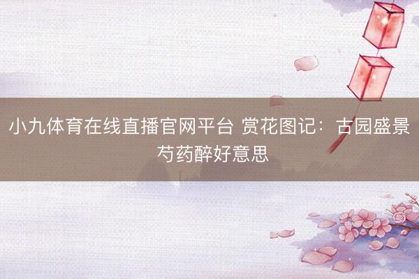 小九体育在线直播官网平台 赏花图记：古园盛景 芍药醉好意思