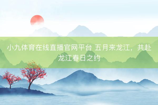 小九体育在线直播官网平台 五月来龙江，共赴龙江春日之约