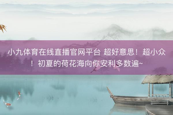 小九体育在线直播官网平台 超好意思！超小众！初夏的荷花海向你安利多数遍~