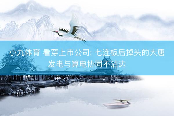 小九体育 看穿上市公司: 七连板后掉头的大唐发电与算电协同不沾边