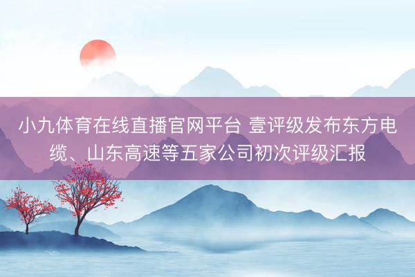 小九体育在线直播官网平台 壹评级发布东方电缆、山东高速等五家公司初次评级汇报