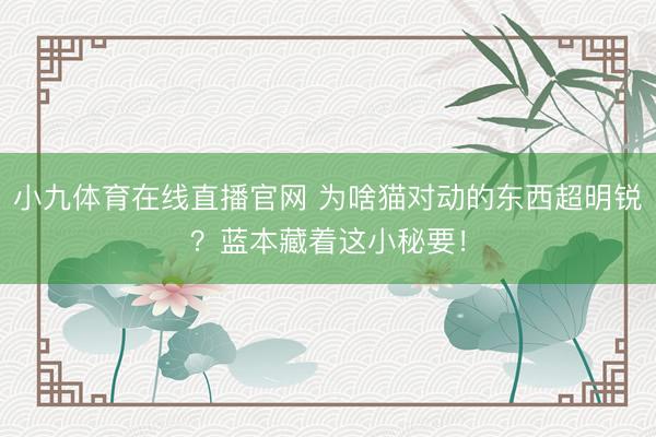 小九体育在线直播官网 为啥猫对动的东西超明锐？蓝本藏着这小秘要！
