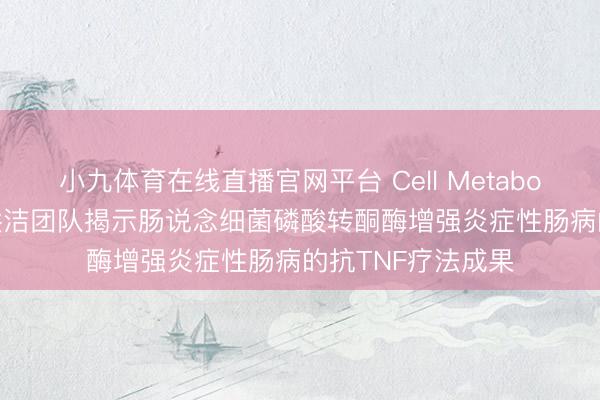 小九体育在线直播官网平台 Cell Metabolism：上海交大洪洁团队揭示肠说念细菌磷酸转酮酶增强炎症性肠病的抗TNF疗法成果