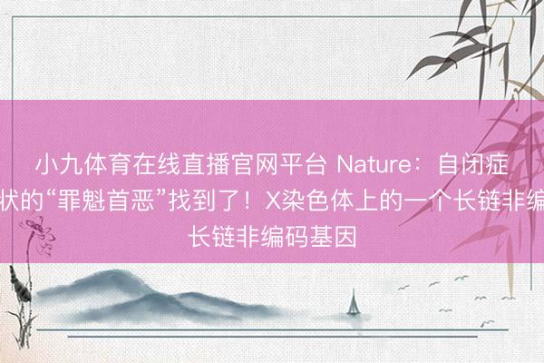 小九体育在线直播官网平台 Nature：自闭症中枢症状的“罪魁首恶”找到了！X染色体上的一个长链非编码基因