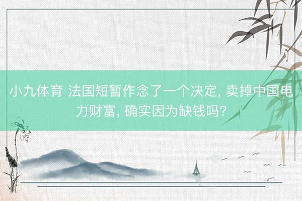 小九体育 法国短暂作念了一个决定， 卖掉中国电力财富， 确实因为缺钱吗?