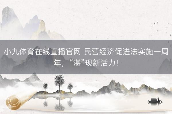 小九体育在线直播官网 民营经济促进法实施一周年，“湛”现新活力！