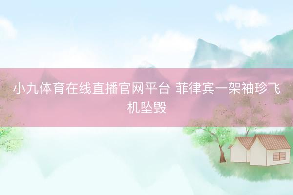 小九体育在线直播官网平台 菲律宾一架袖珍飞机坠毁