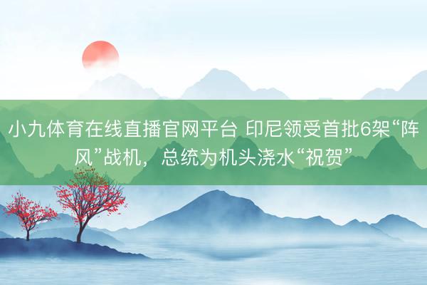 小九体育在线直播官网平台 印尼领受首批6架“阵风”战机,总统为机头浇水“祝贺”