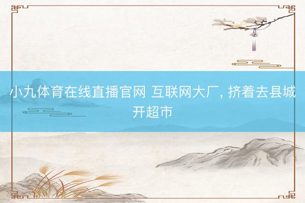小九体育在线直播官网 互联网大厂, 挤着去县城开超市