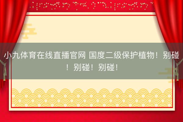 小九体育在线直播官网 国度二级保护植物！别碰！别碰！别碰！
