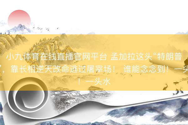 小九体育在线直播官网平台 孟加拉这头“特朗普牛”，靠长相逆天改命逃过屠宰场！ 谁能念念到！一头水