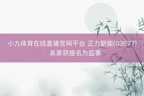 小九体育在线直播官网平台 正力新能(03677)：吴昊获提名为监事