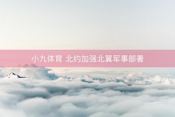 小九体育 北约加强北翼军事部署