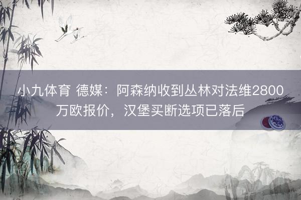 小九体育 德媒：阿森纳收到丛林对法维2800万欧报价，汉堡买断选项已落后